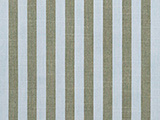 Sunbrella Sail Away Aloe (40606-0002)
